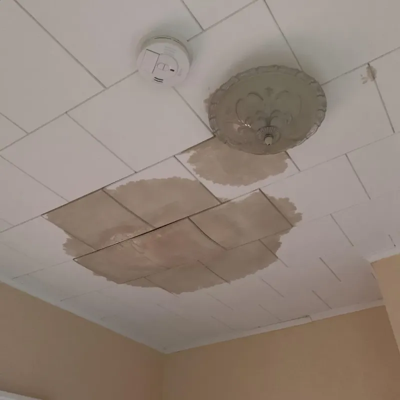 Ceiling Water Damage Repair in Experiment, GA